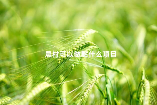 農村可以做點什么項目
